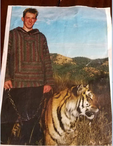 Tiger rescue image