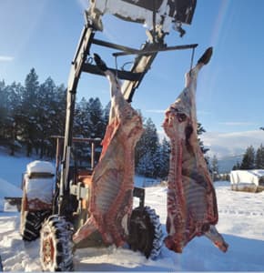 Custom meat hanger